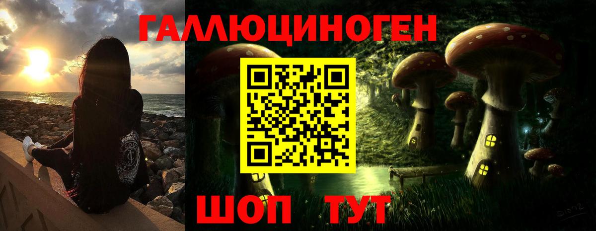 Галлюциногенные грибы Cubensis Ипатово